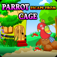 play Parrot Escape From Cage