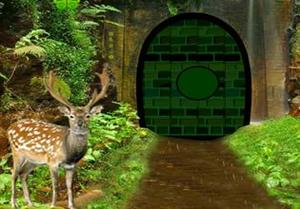 play Escape From Primitive Forest