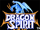 play Dragon Spirit: The New Legend