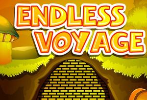 Endless Voyage