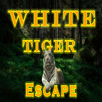 play 8B White Tiger Escape
