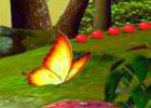 play Save The Butterfly Wow Escape