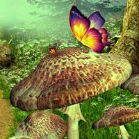 play Escape Game: Save The Butterfly
