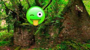 play Emoji Forest Escape