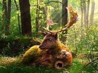 play Summer Deer Forest Escape