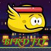 Birds Fly - At Midnight.Io