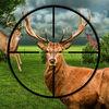 Junglee Deer Hunting Adventure