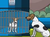 play Baby Dog Rescue