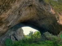 Mysterious Cave Forest Escape