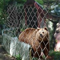 play 8Bgames Brown Bear Escape