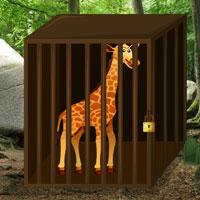 play Escape Game Save The Giraffe