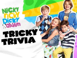 play Nicky, Ricky, Dicky, & Dawn: Tricky Trivia Quiz
