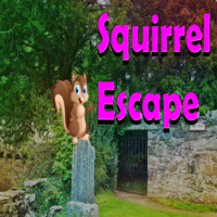 play 8B Squirrel Escape