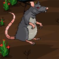 play Nsr Adventures Of Mouse Black And White