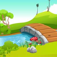 play Escape The Tortoise Gameszone15