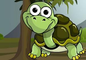 play Escape The Tortoise