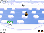 Pingu - Fish Run Game