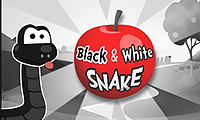 Black And White Snake
