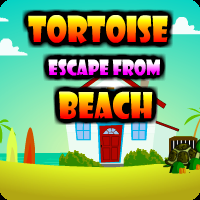 play Tortoise Escape From Beach