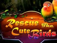 Rescue The Cute Birds Escape