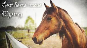 Lost Horse Rescue Mystery