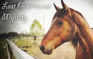 play Lost Horse Rescue Mystery