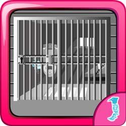 play Escape Game Jail Prison Break