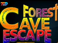 play Forest Cave Escape