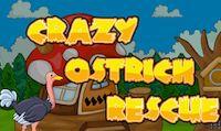 play Crazy Ostrich Rescue Escape