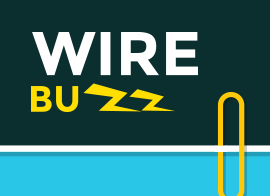 Wirebuzz game