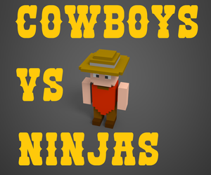 Cowboys & Ninjas