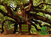 play Oak Tree Forest Escape