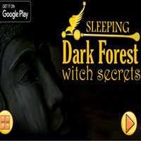 play Nsr Sleeping - Dark Forest: Witch Secrets