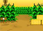 play Escape Corn Maze