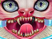 play Kitty Dental Caring