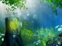 play Magical Forest Fantasy Escape