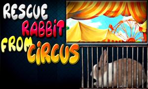 play Rescue Rabbit From Circus