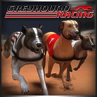 play Greyhound Racing