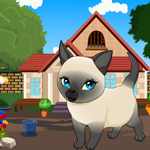 play Tonkinese Cat Rescue Escape