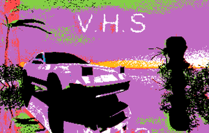 V.H.S