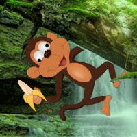 play Mad Monkey Forest Escape