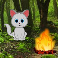 play Forest Challenge Escape