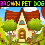Brown Pet Dog Escape