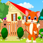 play Cute Cat Rescue Escape 2