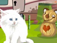 play Cute White Cat Rescue
