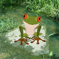 play Wow-Froggy-Fun-Forest-Escape