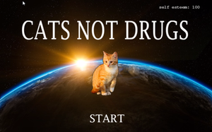play Cats Not Drugs!
