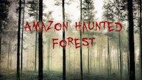 play Amazon Haunted Forest Escape