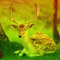 play Deer Forest Escape