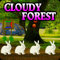 Cloudy Forest Escape